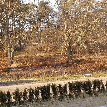 Garden Lägenhet